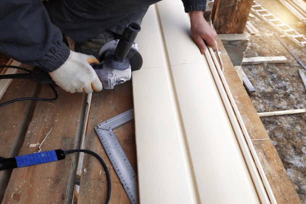Affordable Siding Repair and Maintenance Services in Franklin Park, FL