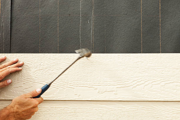 Best Brick Veneer Siding  in Franklin Park, FL