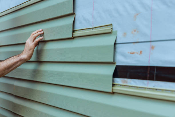 Best Brick Veneer Siding  in Franklin Park, FL